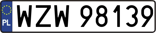 WZW98139