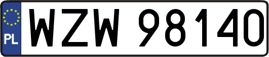 WZW98140