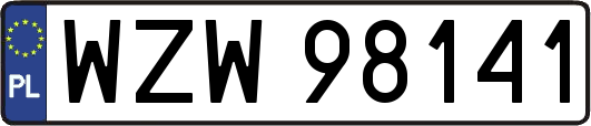 WZW98141