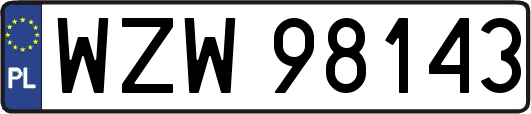 WZW98143