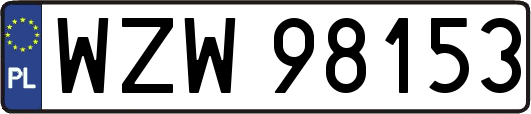 WZW98153