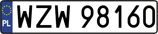 WZW98160