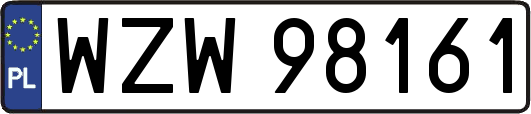WZW98161
