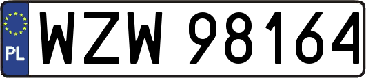 WZW98164