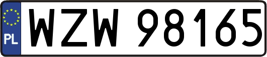 WZW98165