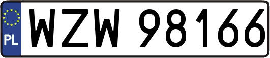 WZW98166