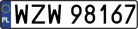 WZW98167