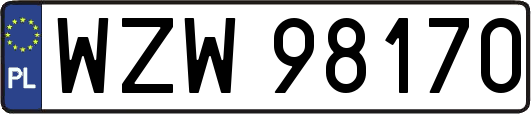 WZW98170