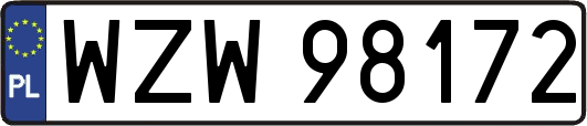 WZW98172