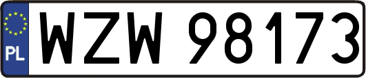 WZW98173