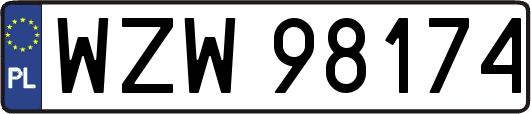 WZW98174