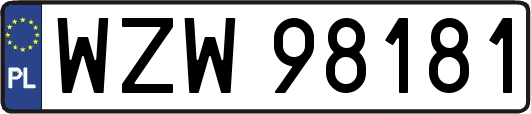 WZW98181