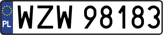 WZW98183