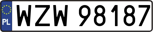 WZW98187