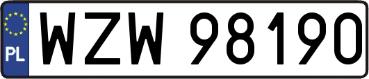 WZW98190