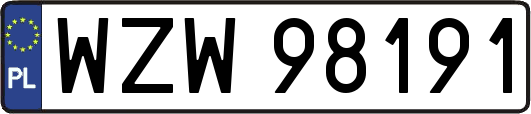 WZW98191