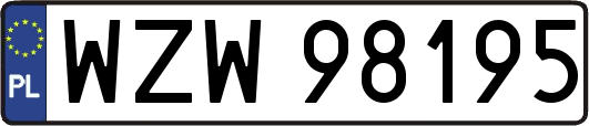 WZW98195