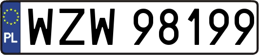 WZW98199