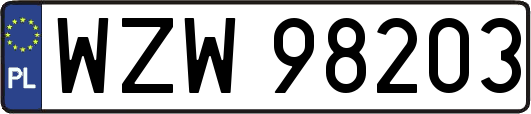 WZW98203
