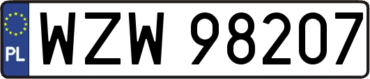 WZW98207