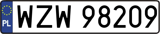 WZW98209