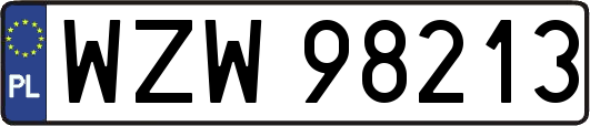 WZW98213