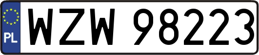 WZW98223