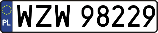 WZW98229