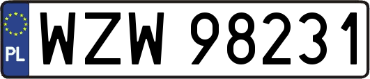 WZW98231