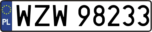 WZW98233