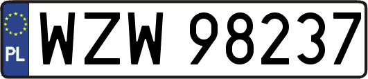 WZW98237