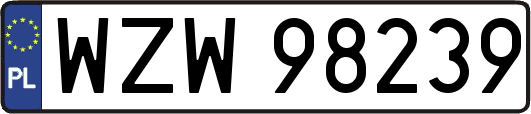 WZW98239