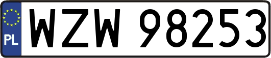 WZW98253