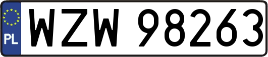 WZW98263