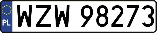 WZW98273