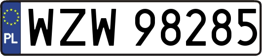 WZW98285