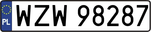 WZW98287