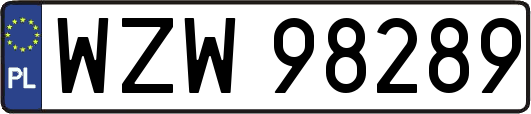 WZW98289