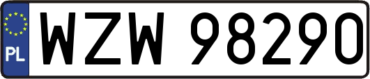 WZW98290