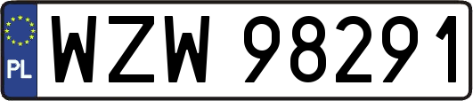 WZW98291