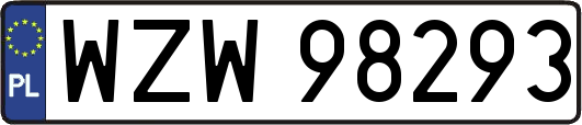 WZW98293