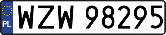 WZW98295