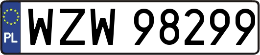 WZW98299