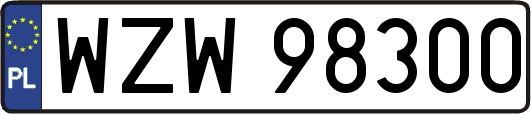 WZW98300