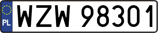 WZW98301