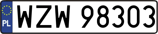 WZW98303