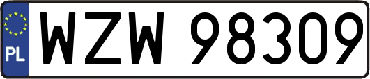 WZW98309