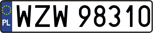 WZW98310