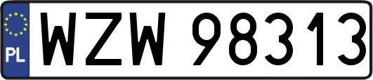 WZW98313
