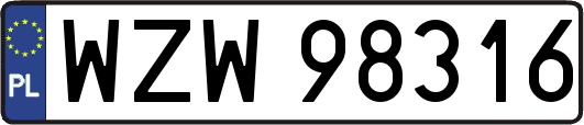 WZW98316